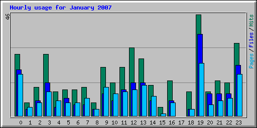 Hourly usage for January 2007